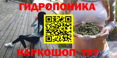 spice Сланцы