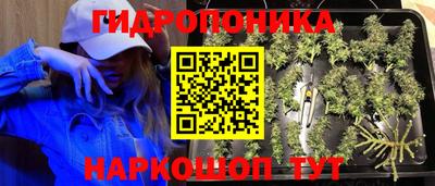PSILOCYBIN Вязники
