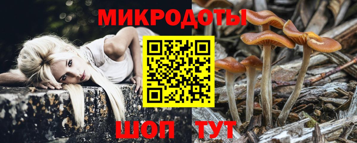 Галлюциногенные грибы прущие грибы Ногинск