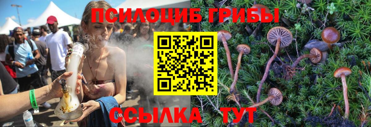 Ногинск  Псилоцибиновые грибы Magic Shrooms  Вход с VPN 